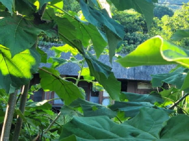 B000513202501300517151.jpg