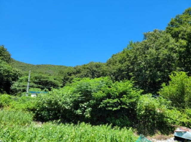 B000513202501300517382.jpg