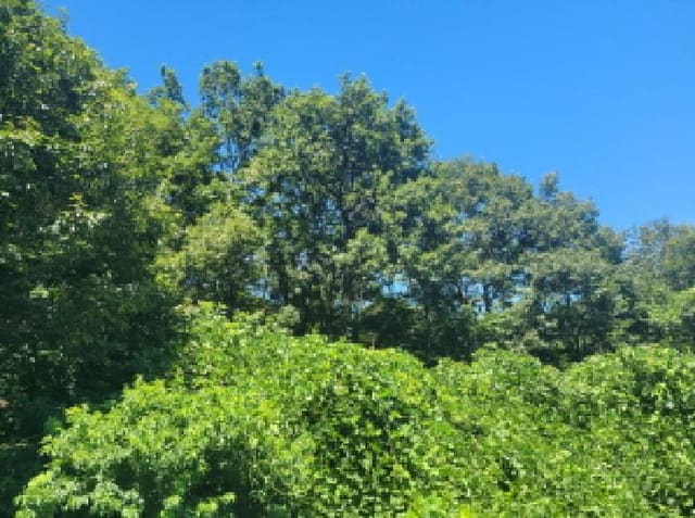 B000513202501300517384.jpg