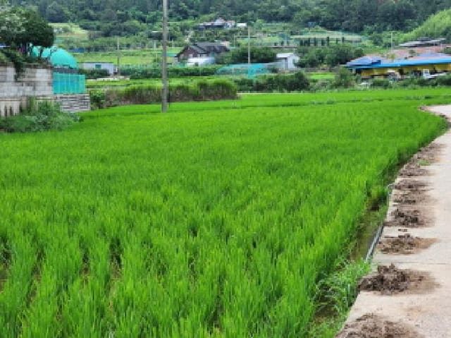 B000513202501300517632.jpg