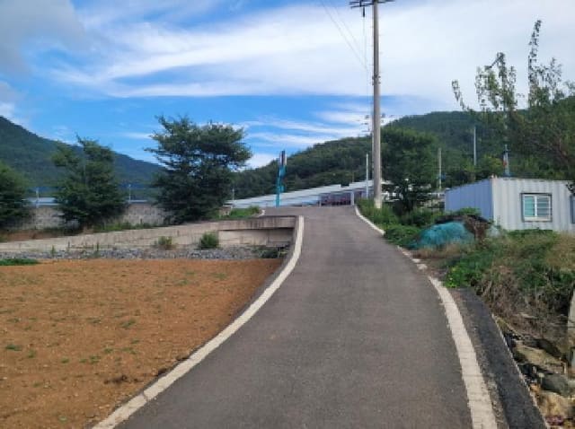 B000513202501300517792.jpg
