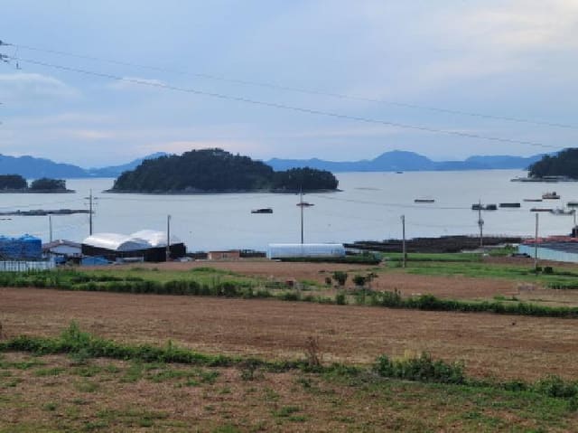 B000513202501300517794.jpg