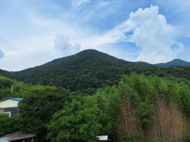 B000513202501300517961.jpg