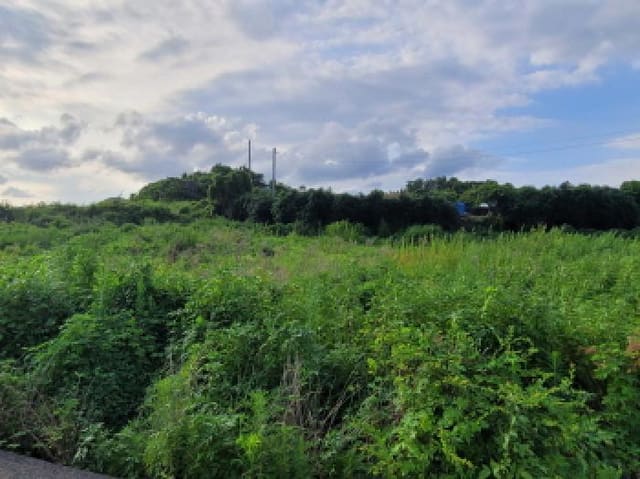 B000513202501300517987.jpg