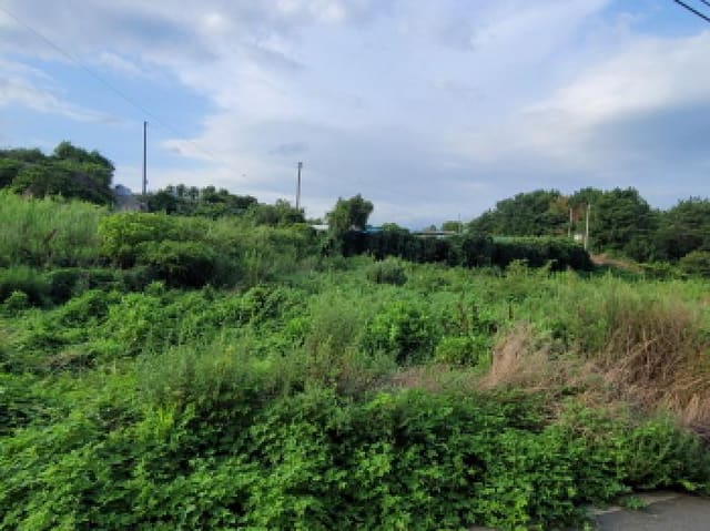 B000513202501300517982.jpg