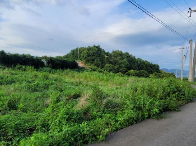 B000513202501300517985.jpg