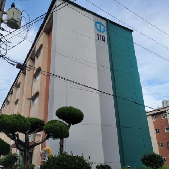 B000513202501300518362.jpg