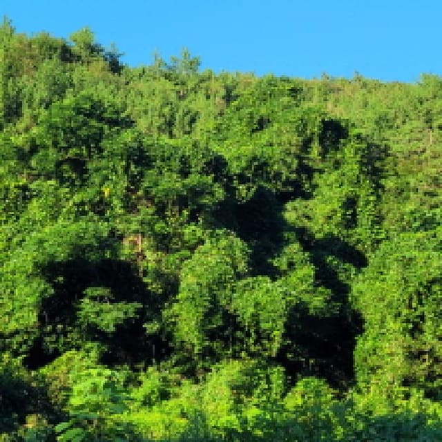 B000513202501300518832.jpg
