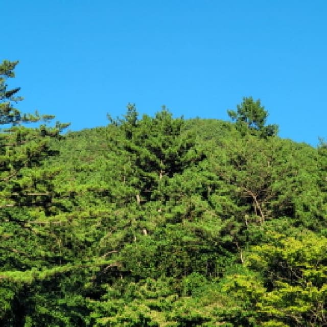B000513202501300518833.jpg
