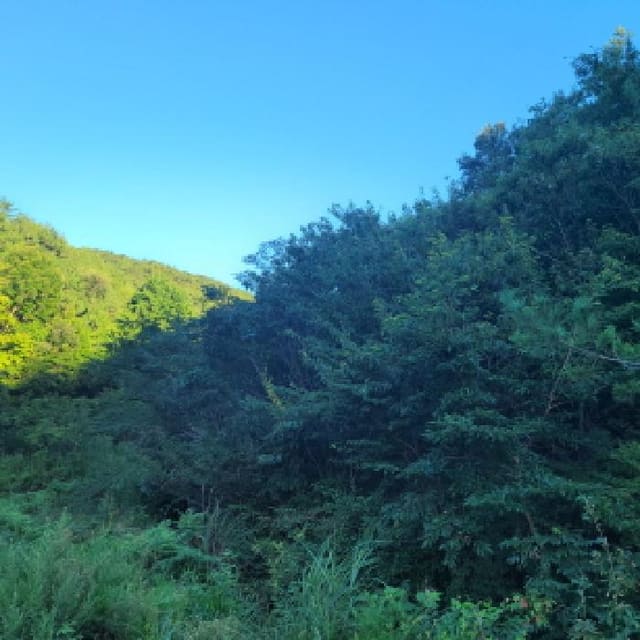 B000513202501300518834.jpg