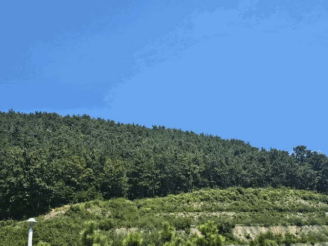 B000513202501300519133.jpg