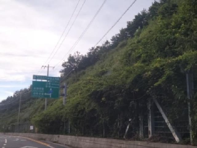 B000513202501300519131.jpg