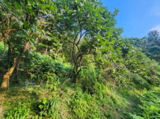 B000513202501300519372.jpg
