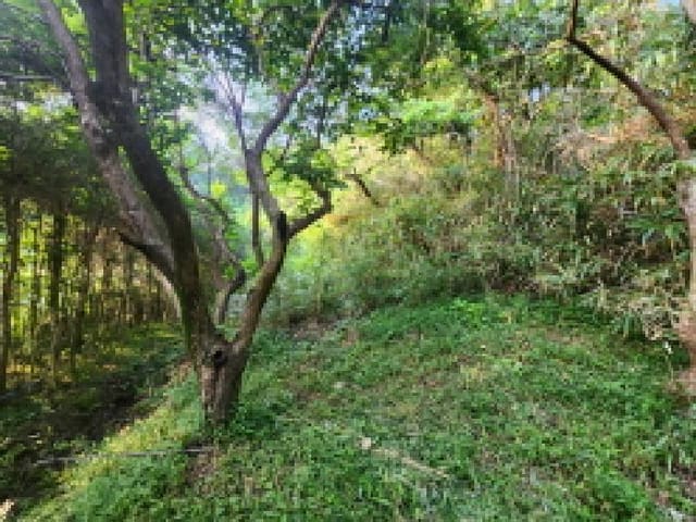 B000513202501300519374.jpg