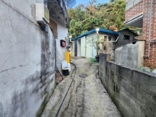 B000513202501300519531.jpg