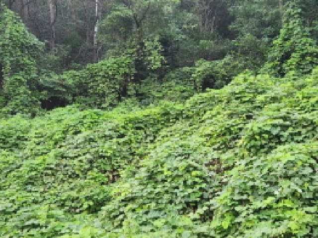 B000513202501300519573.jpg