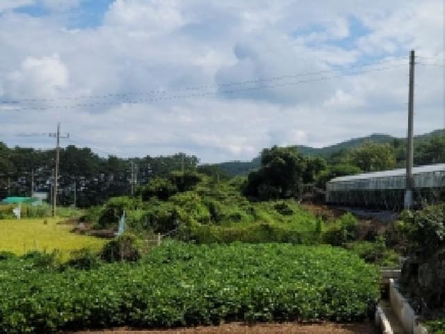 B000513202501300519592.jpg