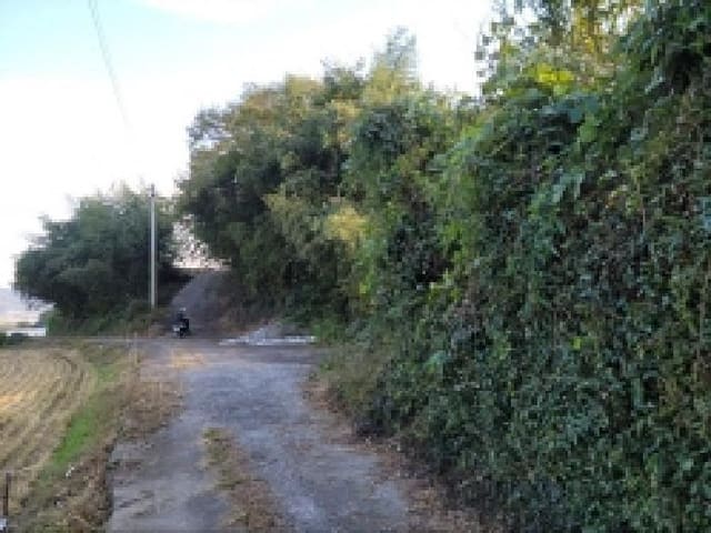 B000513202501300519951.jpg