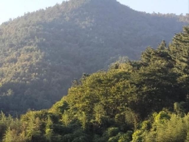 B000513202501300519953.jpg