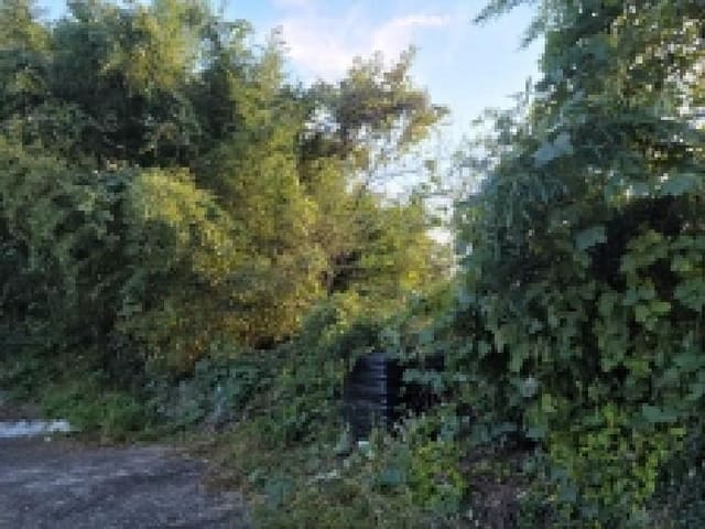 B000513202501300519952.jpg