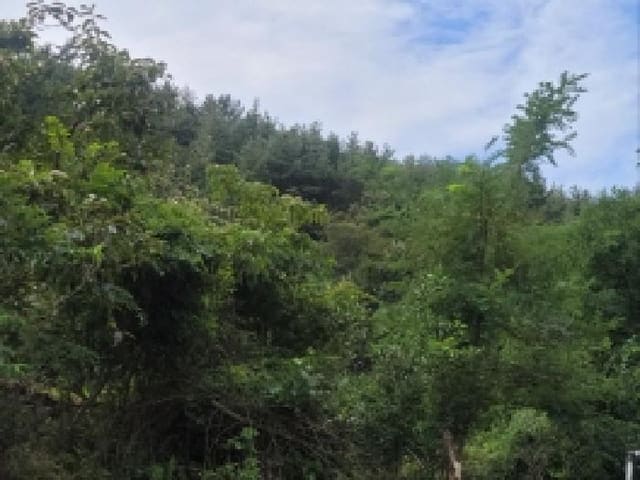 B000513202501300520001.jpg