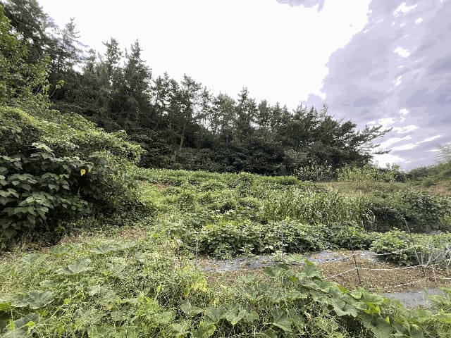 B0005132025013005200015.jpg