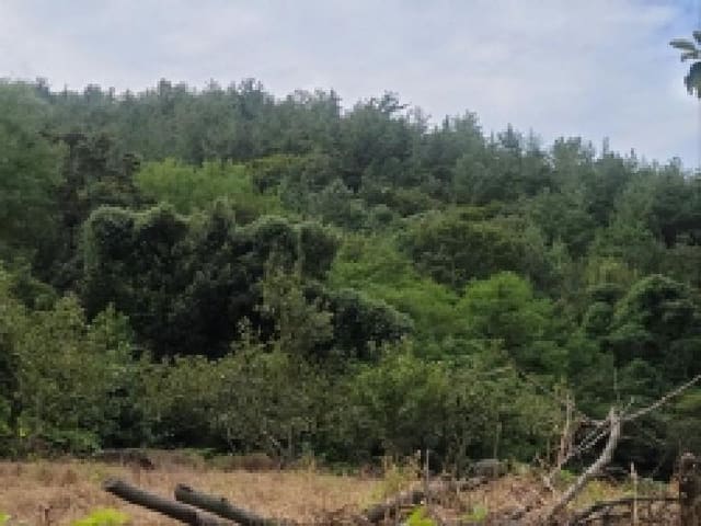 B000513202501300520002.jpg