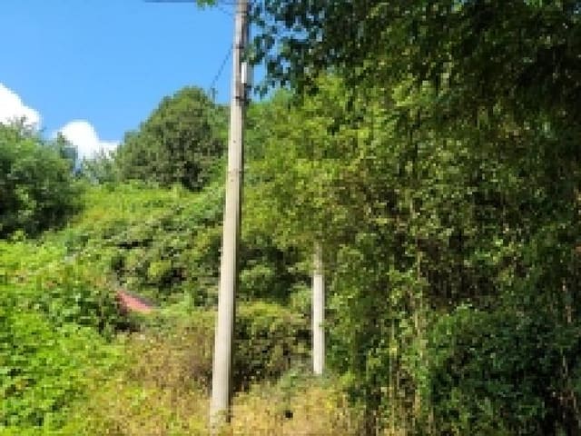 B000513202501300520032.jpg