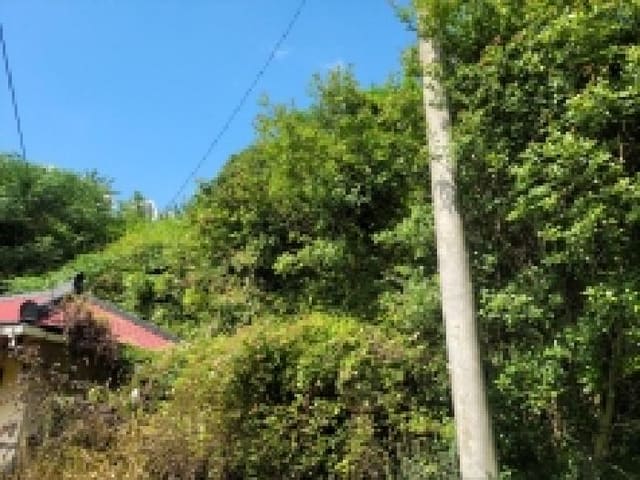 B000513202501300520034.jpg