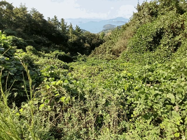 B000513202501300520124.jpg