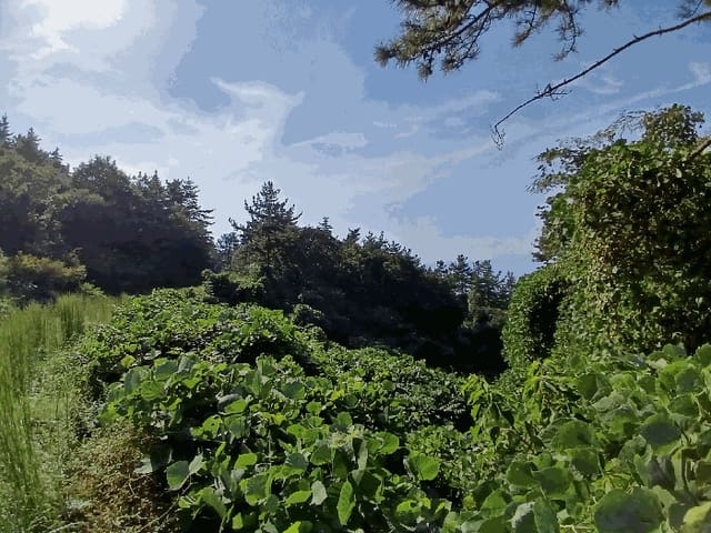 B000513202501300520123.jpg