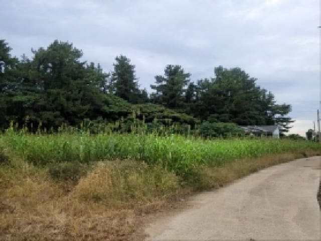 B000513202501300520153.jpg