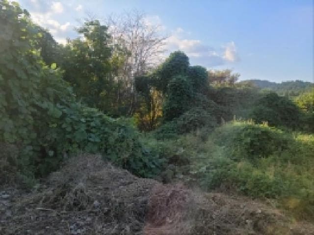 B000513202501300520214.jpg