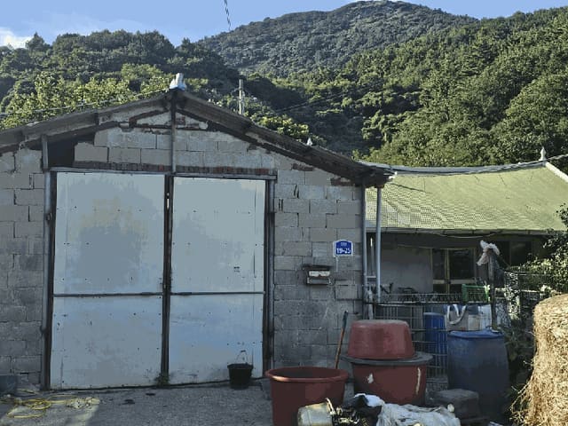 B0005132025013005202414.jpg