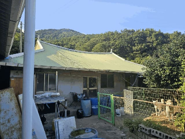 B0005132025013005202413.jpg