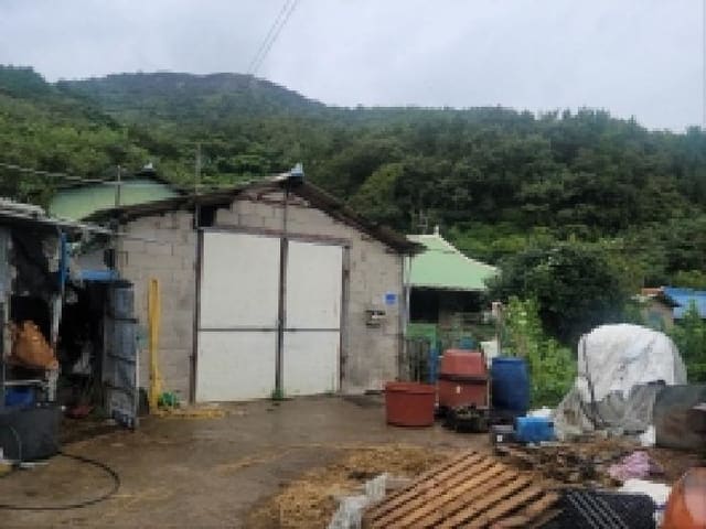 B000513202501300520242.jpg
