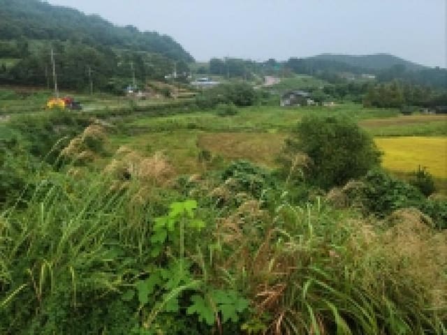 B000513202501300520411.jpg