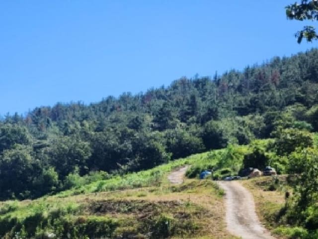 B000513202501300520584.jpg