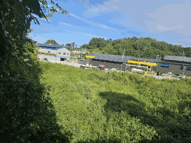 B000513202501300520624.jpg