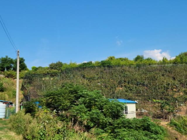 B000513202501300520641.jpg