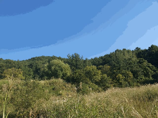 B000513202501300520743.jpg