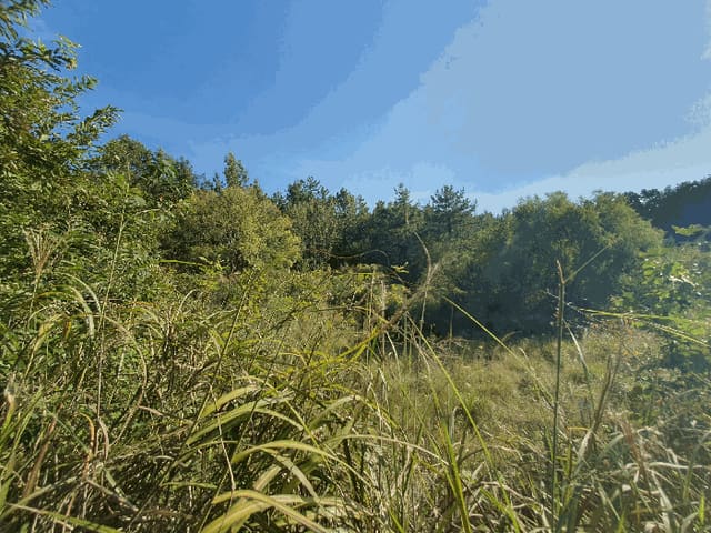B000513202501300520744.jpg