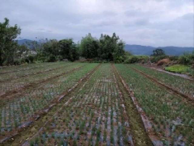 B000513202501300521002.jpg