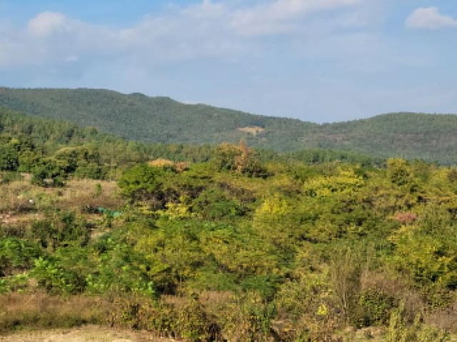 B000513202501300521011.jpg