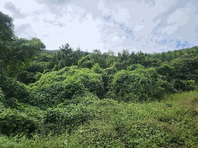 B000513202501300521043.jpg