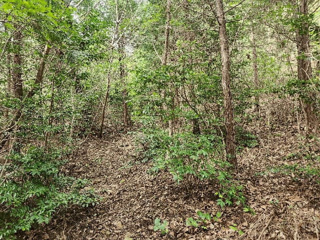 B000513202501300521044.jpg