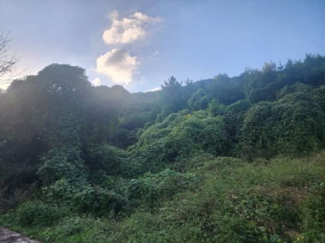 B000513202501300521041.jpg
