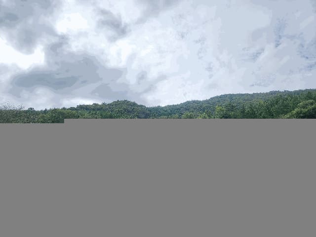 B000513202501300521042.jpg