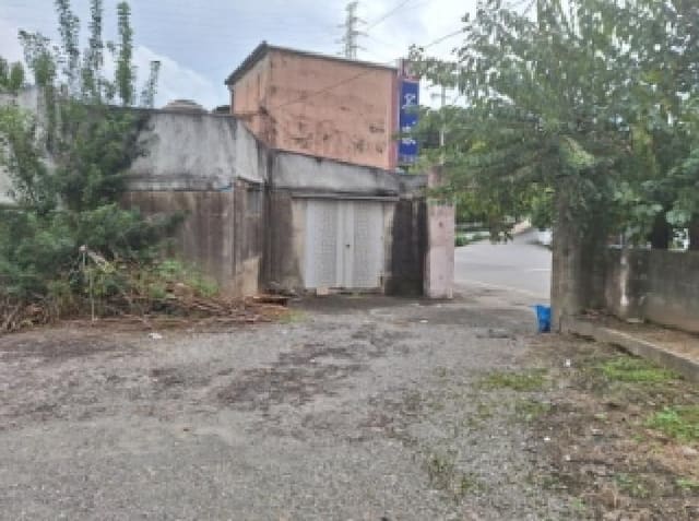 B000513202501300521083.jpg
