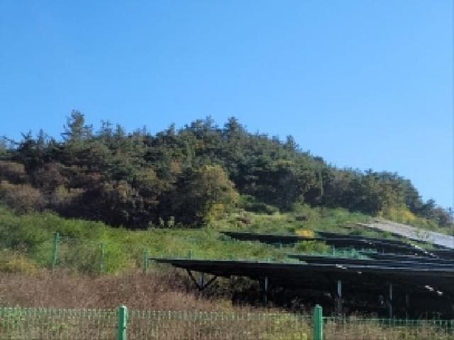 B000513202501300521232.jpg